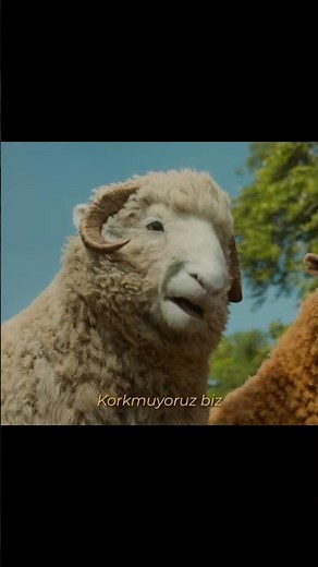 MOVIE: A SHEEP MYSTERY