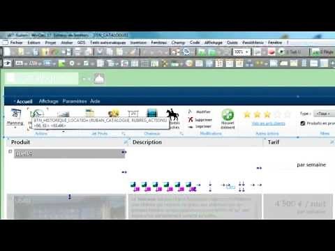 Comment créer, paramétrer et personnaliser le champ Ruban de WINDEV ?