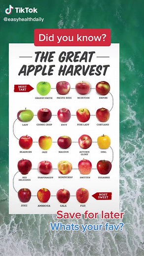 Sweetest Apples Chart: Which Types Are the Most Flavorful?
