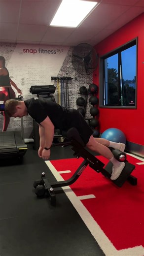 Single Leg Back Extension