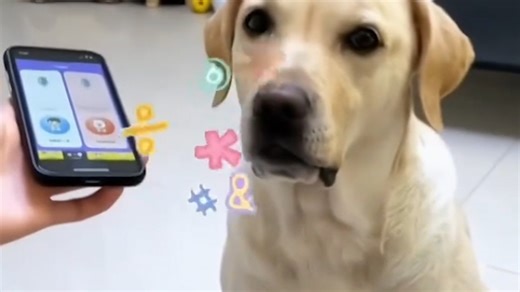 Widgetsmith，定制你的桌面新风格！！！