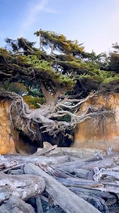 384K views · 102 reactions | @natyexplora captured the magical...