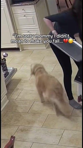 Good bye baby we miss you so so much…🥹🕊️ #lego #dogs #dogloss #pets #rip #doglife #goodbye #fyp