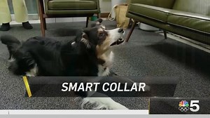 2K views | Getting in touch with Fido via a smart collar that can...