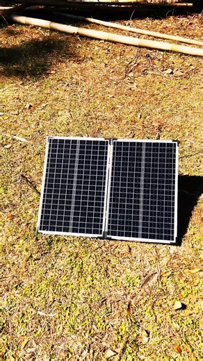 ⛲️Nothing Beats Solar ☀️#fishpond #fountain #diy