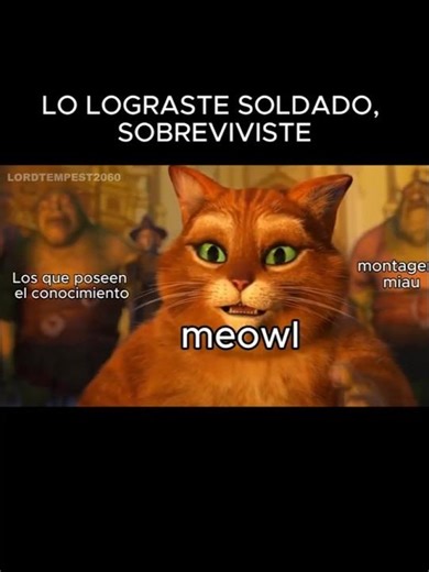 Sobreviviste al año #animation #anime #shrek5 #shrek #shrekmemes #memes #meme #edit #editing