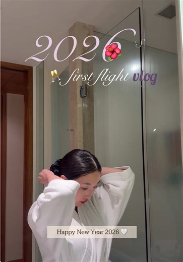 Exploring Layover Diaries: A Flight Vlog Experience