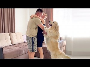 This Is What My Golden Retriever Does When I Hug My Wife