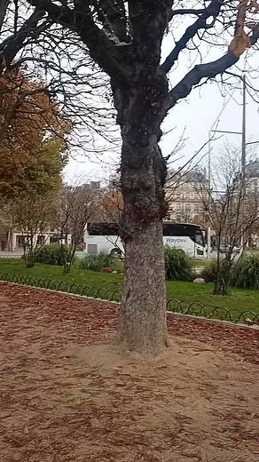 Winter in France Franklin de Roosevelt #Paris #france #winter | Brand Trend Europe | Facebook