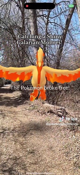 Catch a Shiny Galarian Moltres in Pokémon Go