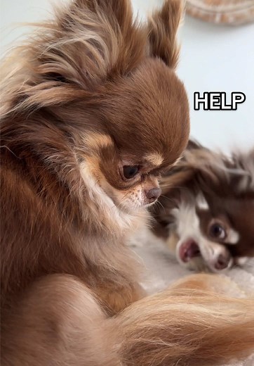 Top Movies With Unexpected Plot Twists