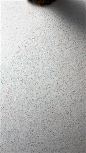 Made a Coin-Eating Potion…🧪 | Iconic Coins