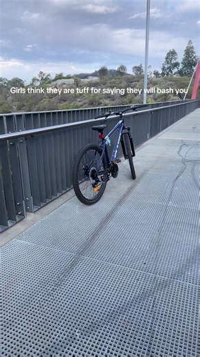 Breathtaking Bridge Facts for Bike Enthusiasts