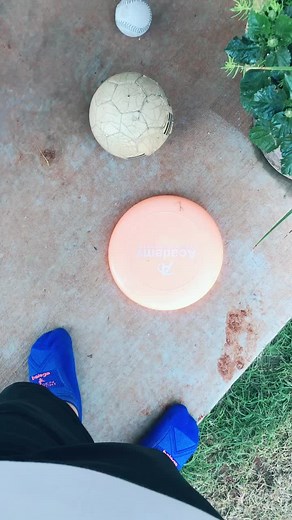 They deserve anything because they give everything. #dogsoftiktok #goldendoodle #duetmeplease #TikTokBrushes #fyp?