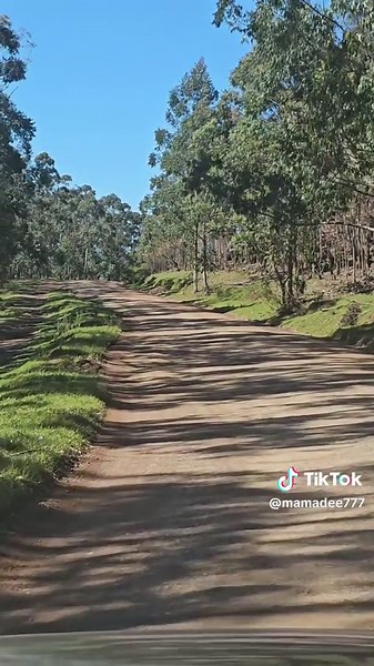 Eastern Cape Road Trip: Mazeppa Bay Adventure (with a Twist!)