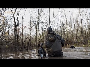 Dr. Duck's Favorite Wader