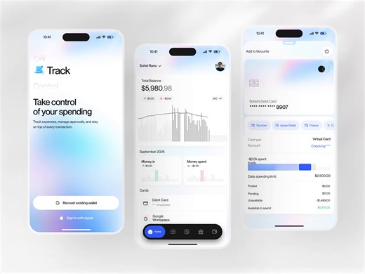 SaaS Finance Mobile App Ui Design