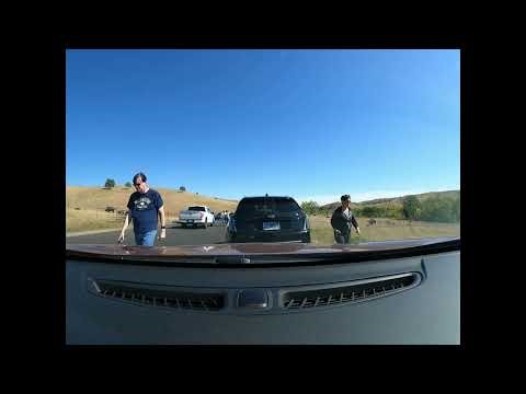 Custer SD to Custer State Park Wildlife Loop