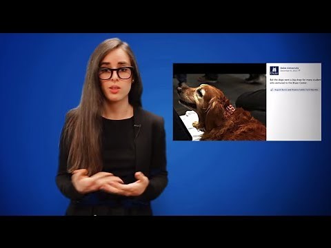 Using Social Media Effectively in Higher Education