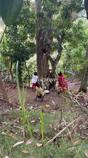 Traditional Sugarcane Juice Extraction Techniques