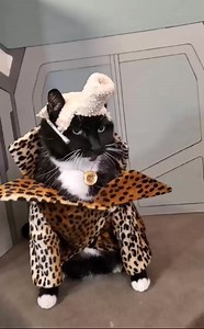 5.4K views · 255 reactions | Ruby Rhod from Fifth Element. | Cosplay Girl's | Facebook