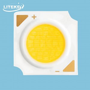 [Hot Item] High Efficacy 120lm/W COB LED Full Spectrum with 12W 350mA 97CRI Close to Natural Light