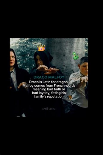 real meanings⚯͛ #harrypotter #potterhead #draco #hermione #ronweasley #harry #viral #1million #100k