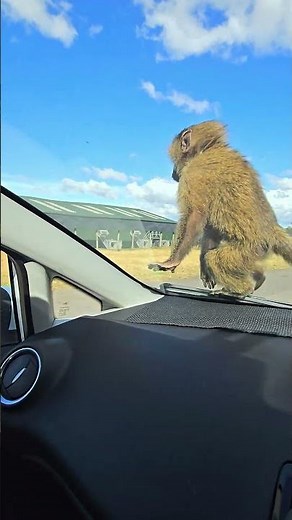 Memories - mediumship training how to: mediumship development training