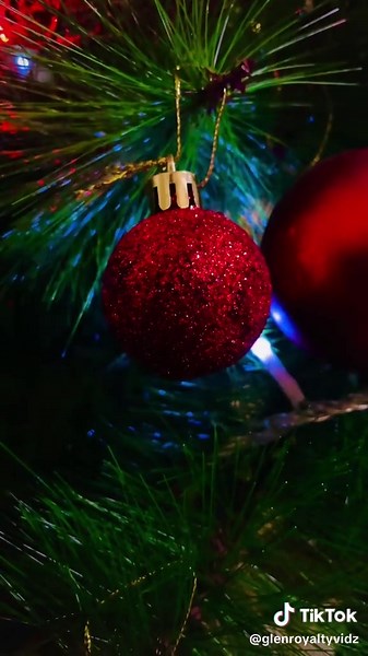 Royalty Free Video for you #fyp #foryou #fypシ #fypシ゚viral #copyrightfreevideo #christmas