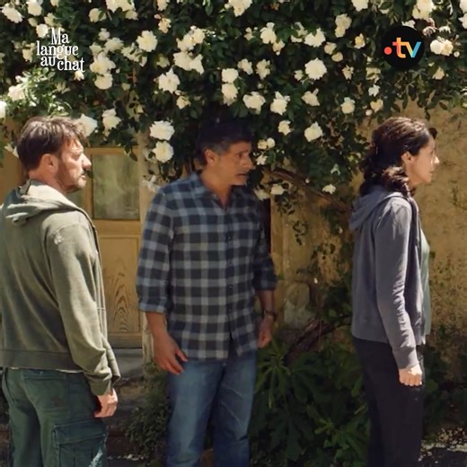 Pour Zabou Breitman, perdre son chat n'est que le début des problèmes... "Ma langue au chat" de Cécile Tellerman, ce soir à 21h10 sur France 3 et disponible dès demain sur notre plateforme. | France tv