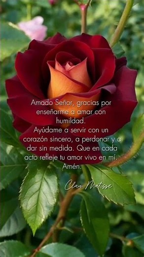 🌹BENDICIONES #amor #frases #reflexiones #shorts #feed #fe #biblia #colombia #oracion #dios #jesus