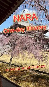7.5K views · 126 reactions | NARA歷 One-day Itinerary ~Introducing 6 Must Visit Places! See details in comments! #nara #japanitinerary | Kazue, Your Japanese Guide | Facebook