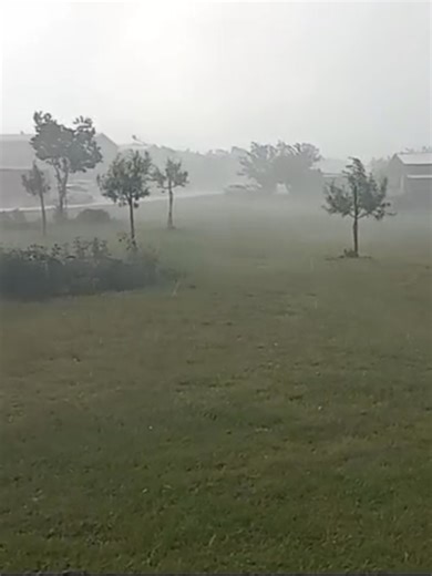 Mandy sent us this video from a storm hitting Tedderfield Airpark in Eikenhof, Gauteng at around 2:20pm today (26 January 2026). Whatsapp photos/videos to 0812518029 See https://snowreport.co.za for weather forecasts. #weather