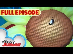 Mickey Mouse Clubhouse Bee l Minnie’s Bee Story l S2 E34 l Full Episode l ‪@disneyjr‬