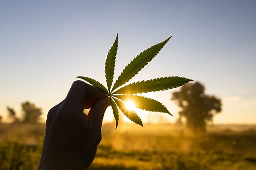 Unlocking Economic Potential: Benefits of Legalizing Marijuana