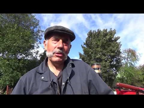 Coal, Gas and Diesel