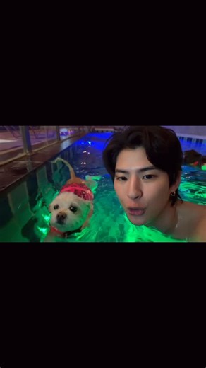 Pakin Kunaanuwit on Instagram: "🐶 🏊 . . #PassionAlive #LaMinieraPoolVillasPattaya #LaMinieraHappening #PrivèSpa #TopazioLoungeBar OpaleSwimupBar ZaffiroRestaurant SmallLuxuryHotels @laminierapattaya @topaziobar"