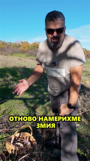 Бяхме ЗА ГЪБИ, а намерихме ПЕПЕЛЯНКА! #shorts