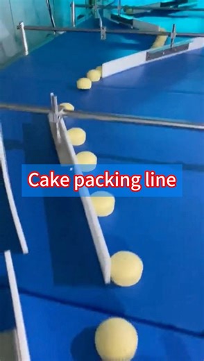 Do you know cake packing machine line?#packingmachine #packagingmachine #machine #factory #pack #package #packing #baggingmachine #cakepacking #cake #cakes #cakepackingmachine | Joy He