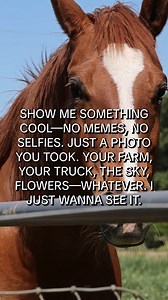 3.9K views · 41 reactions | C-A-L Ranch Stores on Reels | Facebook