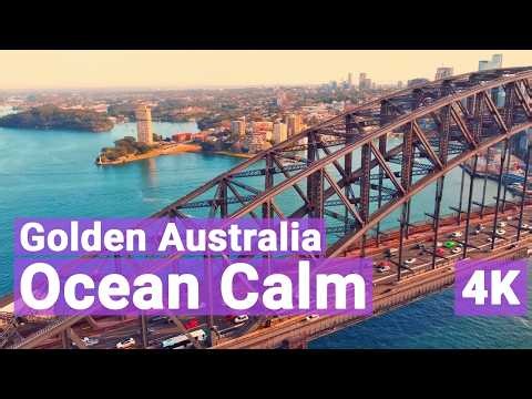 🇦🇺 Sydney Australia 4K | Ocean Waves & Baby Whale Moment