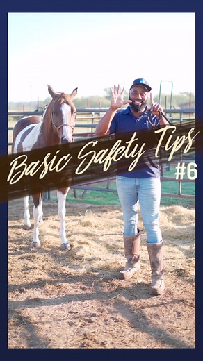 Effective Ways to Handle a Biting Horse