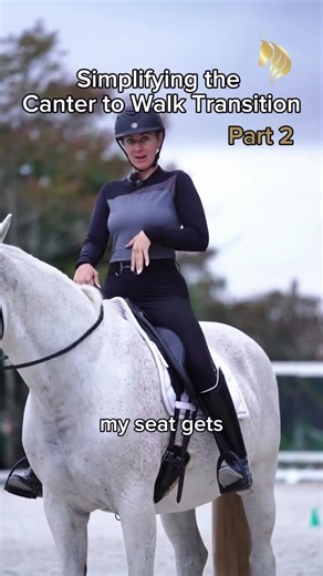 Now let’s look at the canter to walk transition on the horse✨ 🐎 #canter #dressagetraining #horses