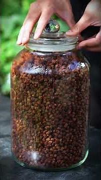 Time-Enhanced Flavors: The Traditional Art Of Making Handcrafted Fermented Black Soybeans!