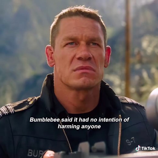 Bumblebee: The Unseen Battle and New Beginnings