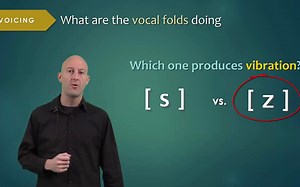 Introduction to Articulatory Phonetics (Consonants) 发音语音学入门（辅音）