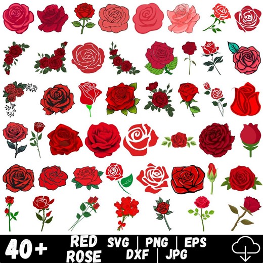 Roses SVG Bundle | Roses Silhouette | Rose Clipart | Rose Cricut | Rose Design | Flowers Svg | Floral Svg | Wedding Svg PNG - Etsy