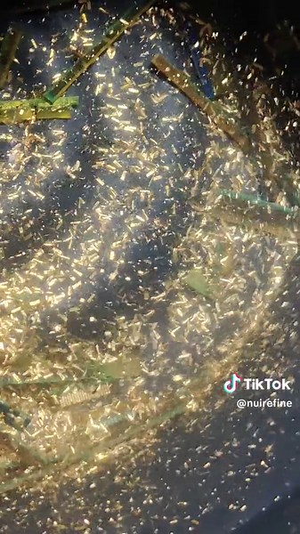 ทองคำแท้ไม่แพ้เคมี #tiktokuni #หนุ่ยรีไฟน์ #nuirefine #สอน #รับซื้อ