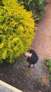 20K views · 106 reactions | HE GOT PRANKED TO MUCH AHAH | Bugis vs bule | Facebook