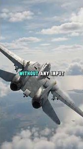 The F-14's Wings Moved On Their Own — No Pilot Switch